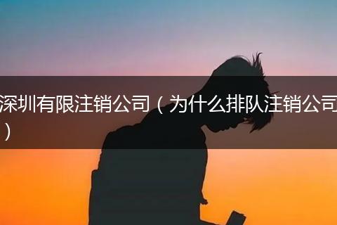 深圳有限注銷公司（為什么排隊(duì)注銷公司）