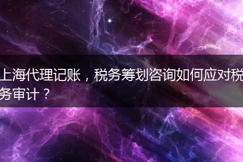 上海代理記賬，稅務籌劃咨詢?nèi)绾螒獙Χ悇諏徲嫞? style=