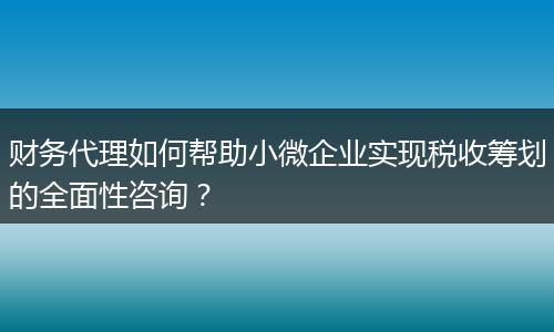財務(wù)代理如何幫助小微企業(yè)實現(xiàn)稅收籌劃的全面性咨詢？