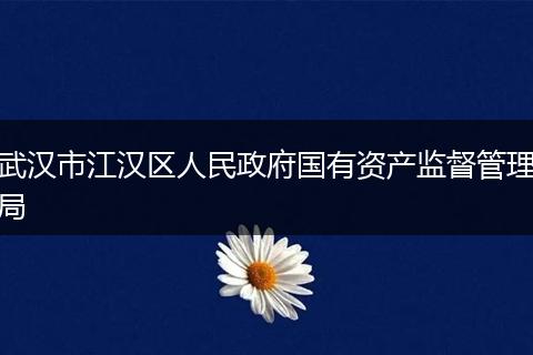 武漢市江漢區(qū)人民政府國有資產(chǎn)監(jiān)督管理局