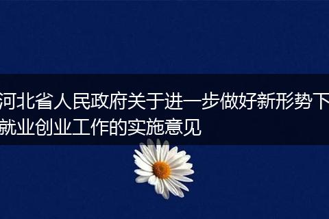 河北省人民政府關(guān)于進(jìn)一步做好新形勢(shì)下就業(yè)創(chuàng)業(yè)工作的實(shí)施意見(jiàn)