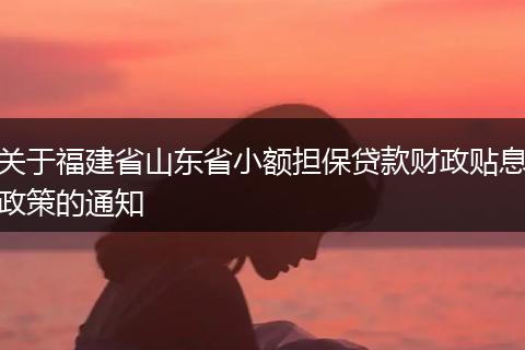 關(guān)于福建省山東省小額擔(dān)保貸款財(cái)政貼息政策的通知