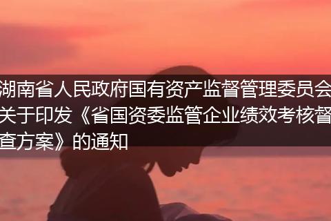 湖南省人民政府國(guó)有資產(chǎn)監(jiān)督管理委員會(huì)關(guān)于印發(fā)《省國(guó)資委監(jiān)管企業(yè)績(jī)效考核督查方案》的通知