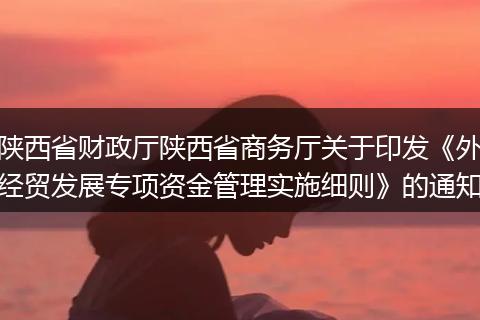 陜西省財(cái)政廳陜西省商務(wù)廳關(guān)于印發(fā)《外經(jīng)貿(mào)發(fā)展專項(xiàng)資金管理實(shí)施細(xì)則》的通知