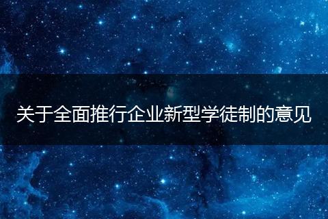 關(guān)于全面推行企業(yè)新型學(xué)徒制的意見