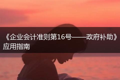 《企業(yè)會(huì)計(jì)準(zhǔn)則第16號(hào)——政府補(bǔ)助》應(yīng)用指南