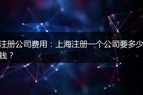注冊公司費用:上海注冊一個公司要多少錢?
