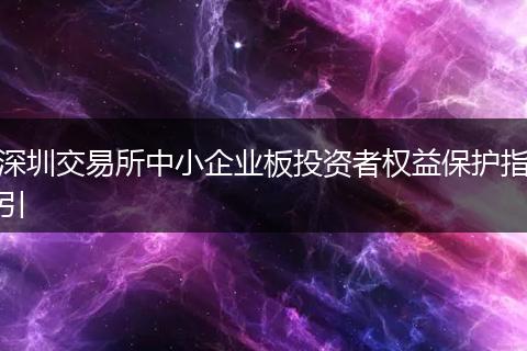 深圳交易所中小企業(yè)板投資者權(quán)益保護指引