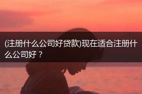 (注冊(cè)什么公司好貸款)現(xiàn)在適合注冊(cè)什么公司好？