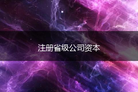 注冊省級公司資本